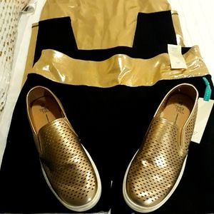 Price dropped today only. $36 New 2 Pc Fashion Set by Lane Bryant. Free shoes.